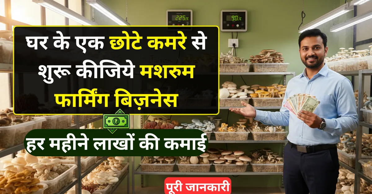 How to start Mushroom Farming Business